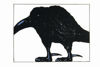 The Black Raven  by Oleg Timchenko