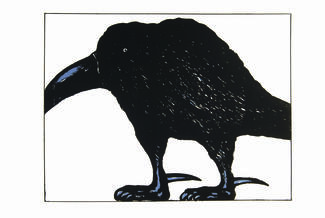 The Black Raven by Oleg Timchenko